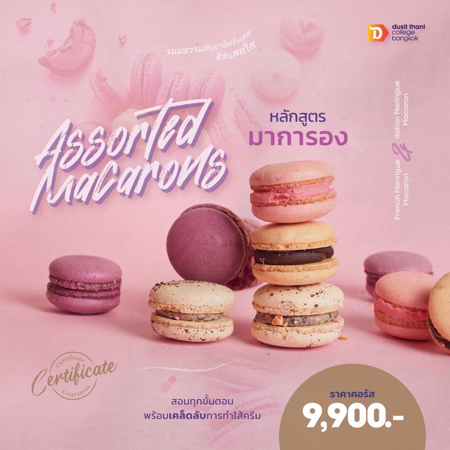 Assorted Macarons