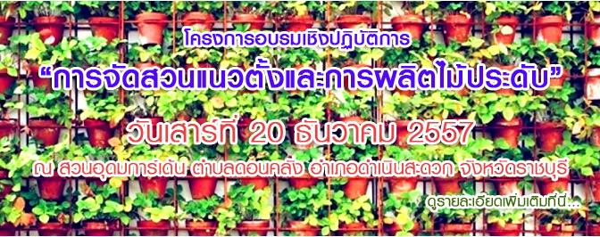 โครงการอบรมเชิงปฏิบัติการ การจัดสวนแนวตั้งและการผลิตไม้ประดับ