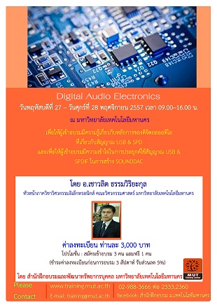 “Digital Audio Electronics”