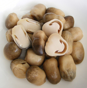 อบรมเพาะเห็ดฟางเทคนิคใหม่