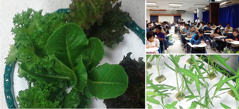 อบรม เรื่อง “ การปลูกผักโดยไม่ใช้ดิน (Hydroponics) หลังบ้าน และทางการค้า ”