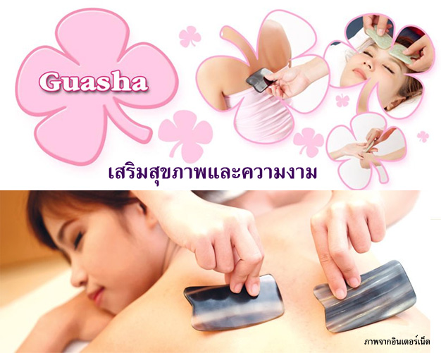 อบรมกัวซาเพื่อสุขภาพและความงาม (รุ่นที่ 19)