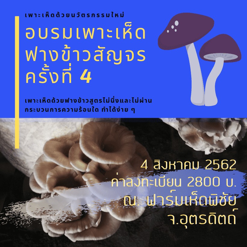 อบรมเพาะเห็ดจากฟางข้าวล้วน สัญจรครั้งที่ 4 วันที่ 4 สิงหาคม 2562