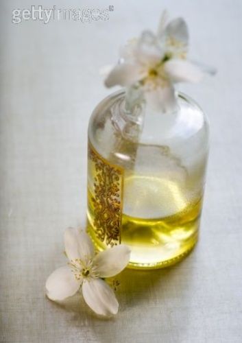 อบรม Natural Perfume Workshop รุ่น 8