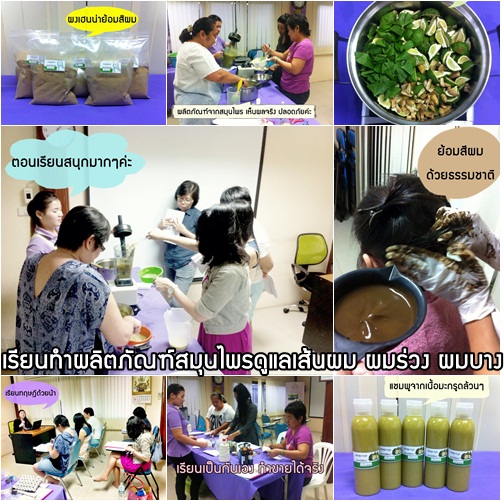 เรียนทำผลิตภัณฑ์ดูแลเส้นผม ลดปัญหาผมร่วง ผมบาง คันหนังศีรษะ ด้วยสมุนไพรไทย