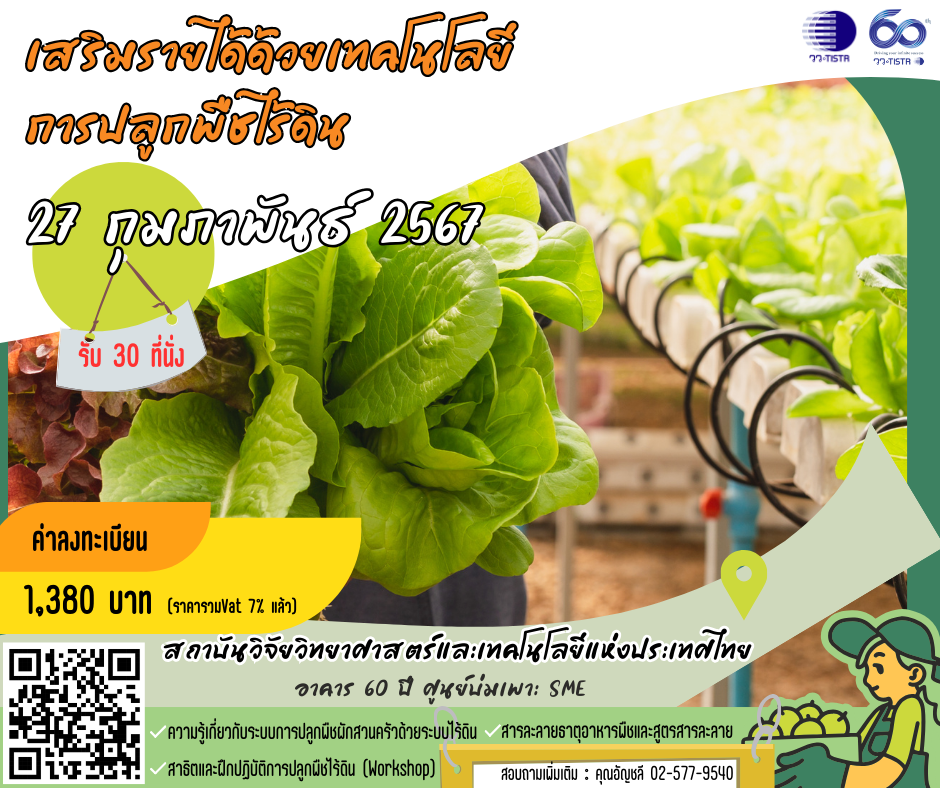 เทคโนโลยีการปลูกพืชไร้ดิน