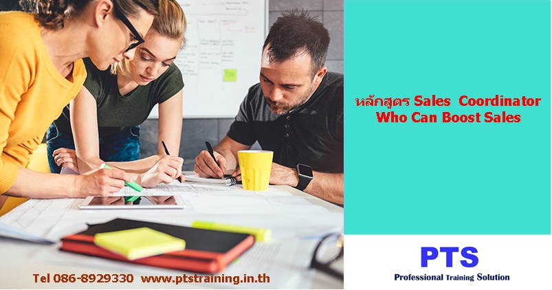 Sales Coordinator Who Can Boost Sales พนักงานประสานงานขายผู้ช่วยเพิ่มยอดขาย