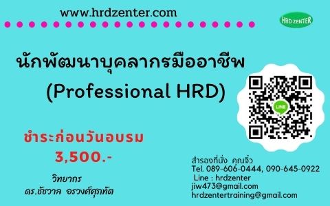 นักพัฒนาบุคลากรมืออาชีพ  (Professional HRD)