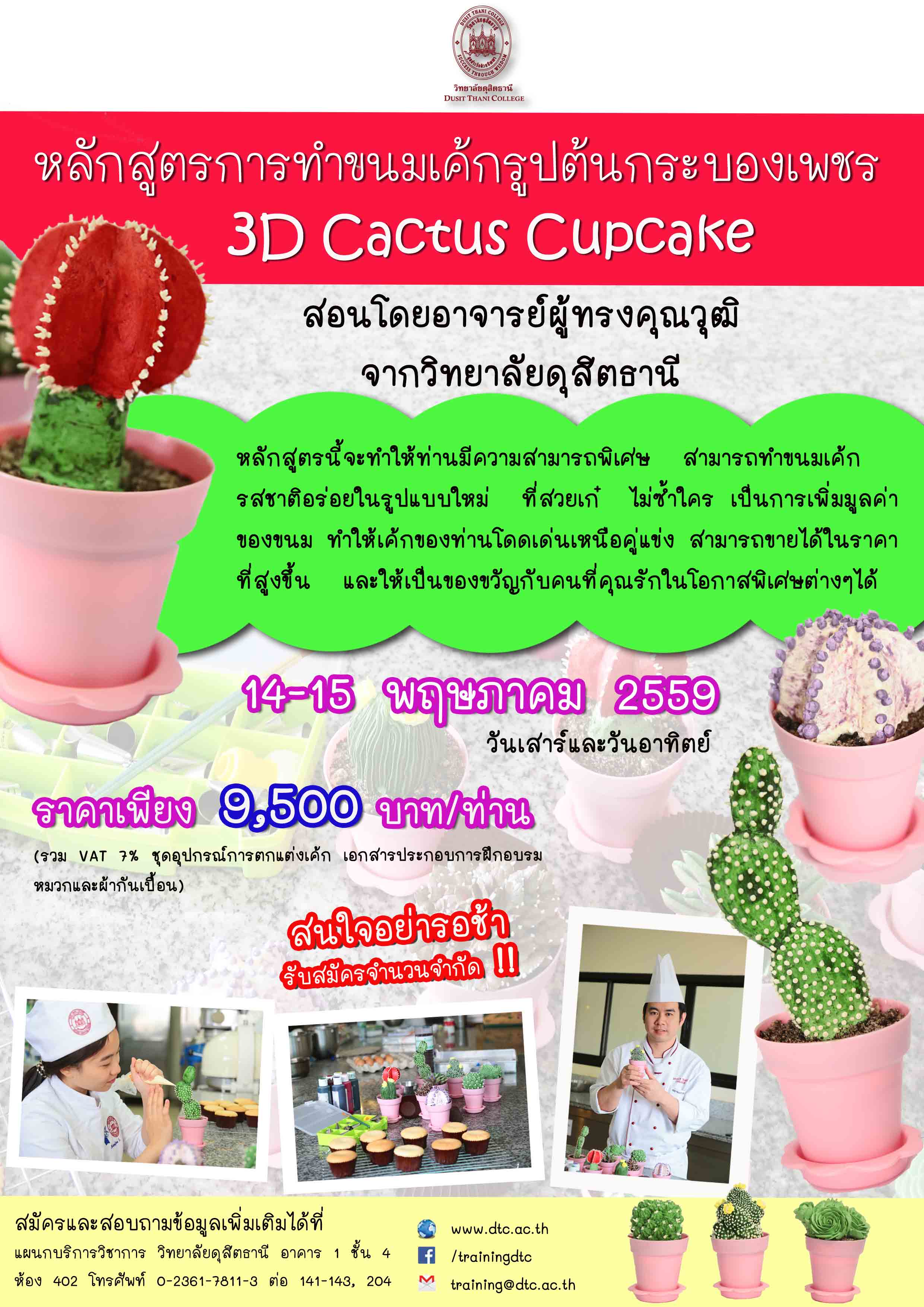 หลักสูตรการทำขนมเค้กรูปต้นกระบองเพชร