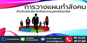 การวางแผนกำลังคน สำหรับนักบริหารทรัพยากรบุคคลมืออาชีพ  (Workforce Planning for Professional HR)